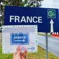 France This Way Needlepoint Canvas