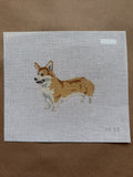 Pembroke Welsh Corgi