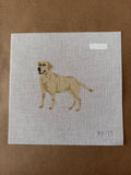 Yellow Lab