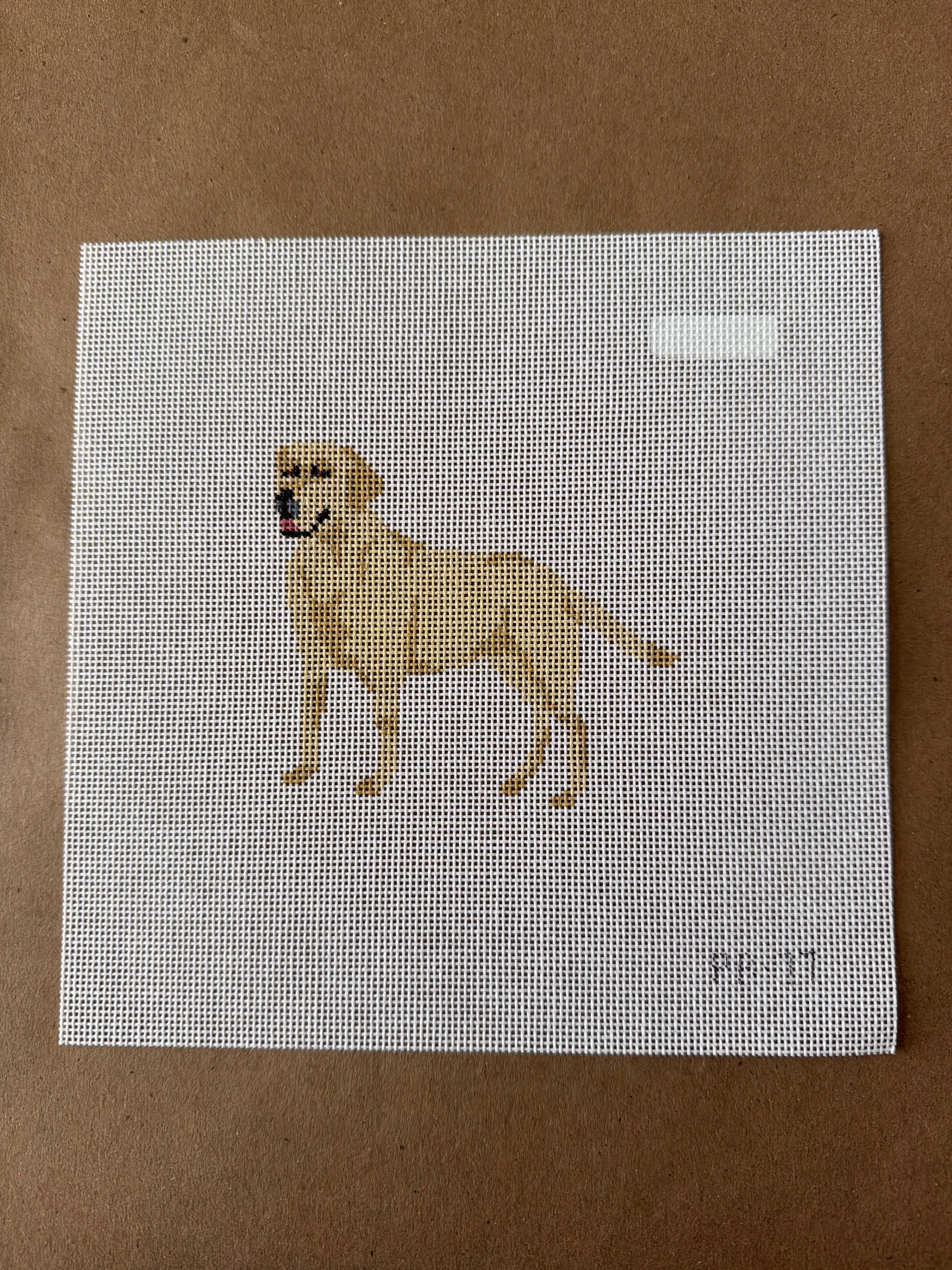 Yellow Lab