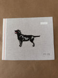 “Quincy” Black Labrador