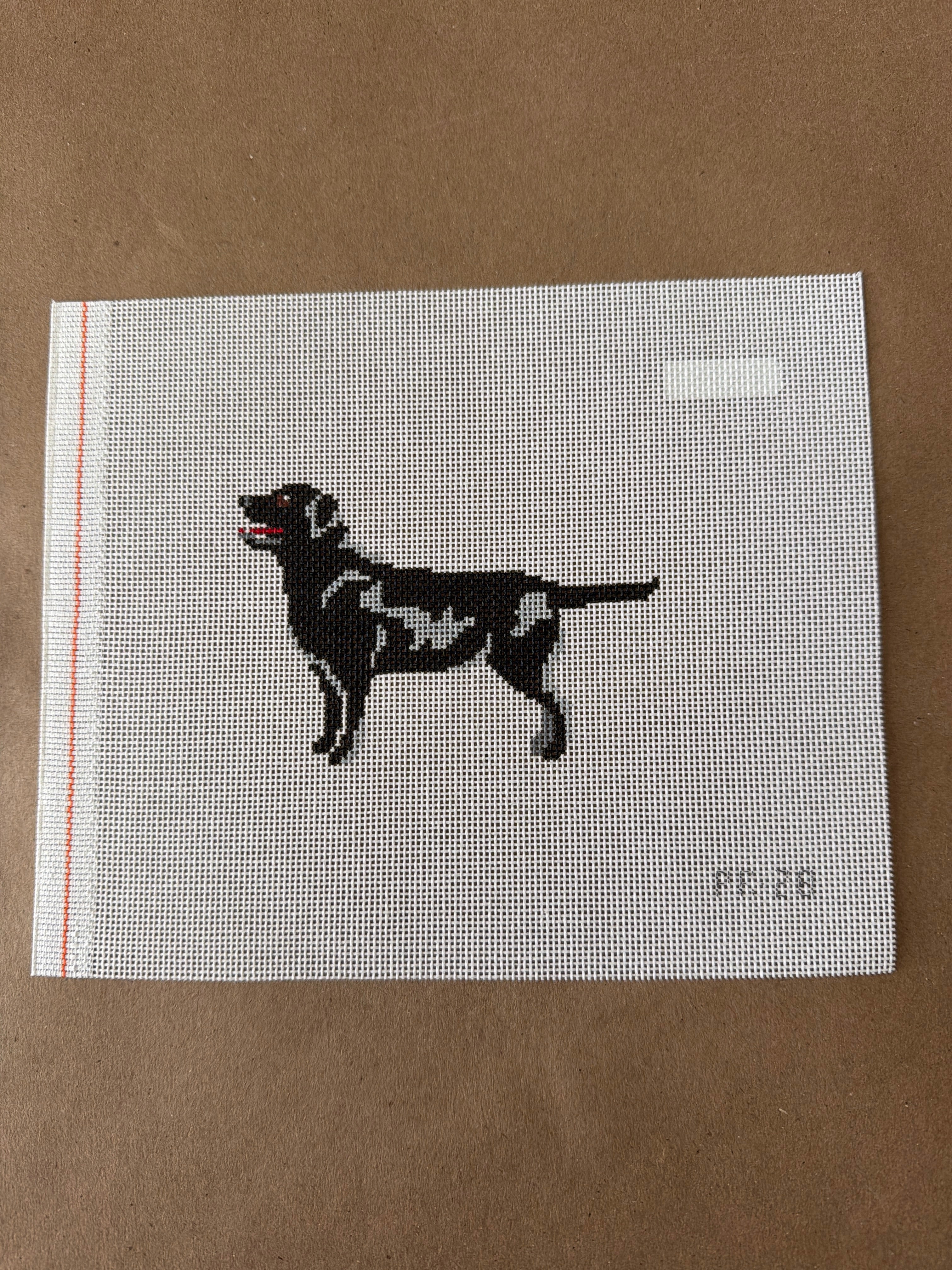 “Quincy” Black Labrador